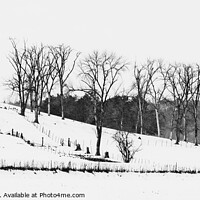 Buy canvas prints of Trees in Snow, 3, Wisconsin, USA by Steven Ralser