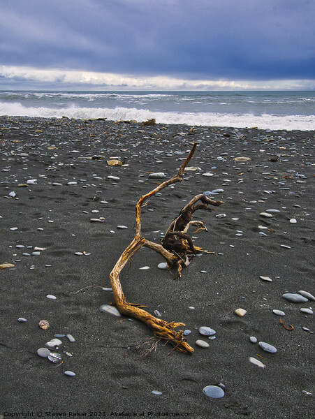 Driftwood - Okarita Beach - New Zealand 3 Picture Board by Steven Ralser
