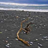 Buy canvas prints of Driftwood - Okarita Beach - New Zealand 3 by Steven Ralser