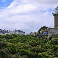Buy canvas prints of Montague Island Lighthouse - Australia 4 by Steven Ralser