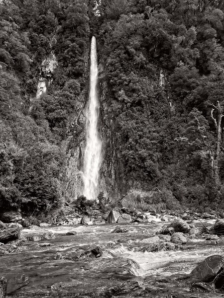 Thunder Creek Falls BW- New Zealand Picture Board by Steven Ralser