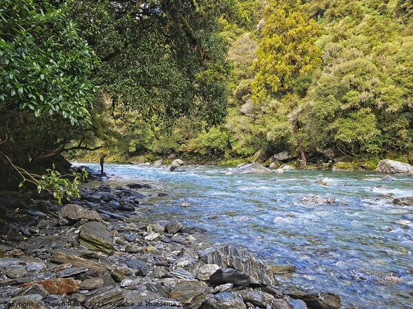 Haast River, South Island, New Zealand Picture Board by Steven Ralser