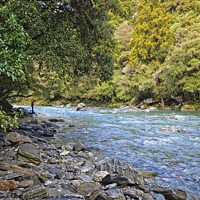 Buy canvas prints of Haast River, South Island, New Zealand by Steven Ralser