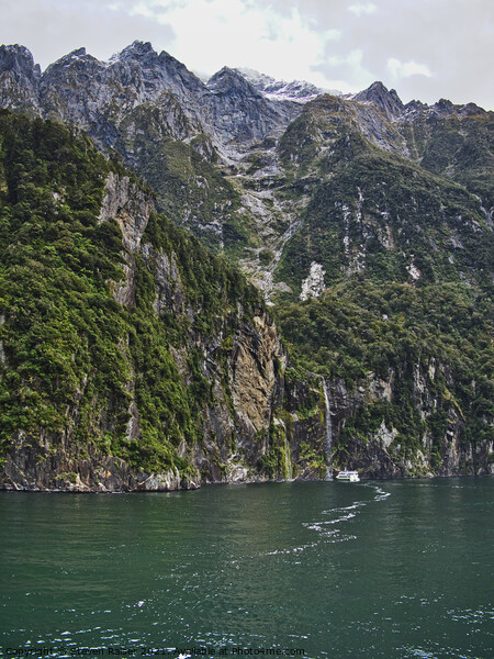 Waterfall - Milford Sound - New Zealand Picture Board by Steven Ralser