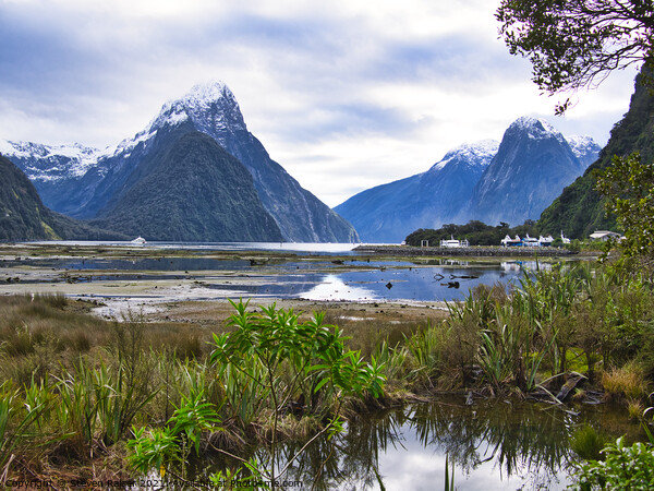 Milford Sound - New Zealand Picture Board by Steven Ralser