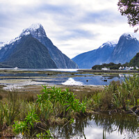 Buy canvas prints of Milford Sound - New Zealand by Steven Ralser
