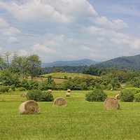 Buy canvas prints of Hay Bales in Farm Field by Kim Hojnacki