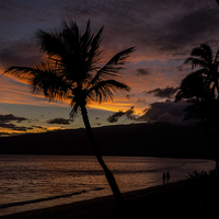 Buy canvas prints of  Maui Sunset by David Attenborough
