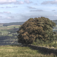 Buy canvas prints of Yorkshire Countryside Scenery, England by Juha Remes