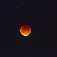 Buy canvas prints of Blood Moon by Juha Remes