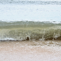 Buy canvas prints of Ocean Wave by Nicole Rodriguez