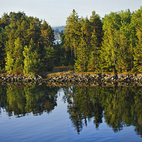 Buy canvas prints of Wooded Island Stockholm Archipelago by Marianne Campolongo