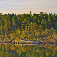 Buy canvas prints of Wooded island at dawn Swedish coast Stockholm Arch by Marianne Campolongo