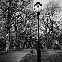 Buy canvas prints of Central Park Streetlamps in black and white by Marianne Campolongo