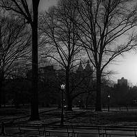 Buy canvas prints of Central Park Sunset Noir I by Marianne Campolongo