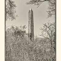 Buy canvas prints of The Obelisk II by Marianne Campolongo