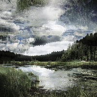 Buy canvas prints of lake in the forest by olga hutsul