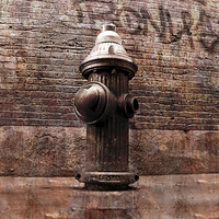 Buy canvas prints of Fire hydrant, NYC by olga hutsul