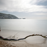 Buy canvas prints of The Needles by Thomas Stewart