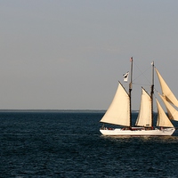 Buy canvas prints of Sailing Nantucket Sound by Barbara Bardzik
