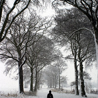 Buy canvas prints of Stepping into Winter by john joyce