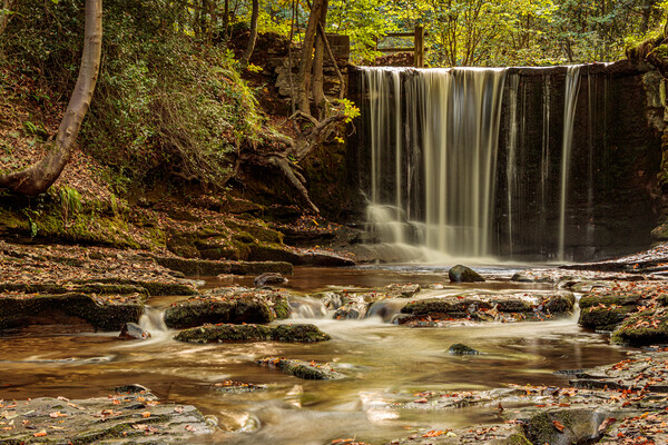 The Enchanting Plas Power Weir Picture Board by Wendy Williams CPAGB