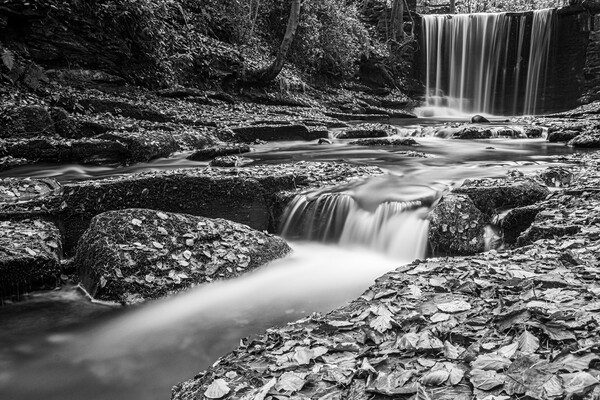 Plas Power Waterfall in mono Picture Board by Wendy Williams CPAGB