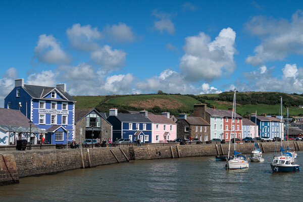 Vibrant Aberaeron Harbour Scene Picture Board by Wendy Williams CPAGB