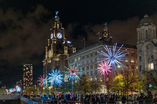 Majestic Liver Building Illuminated Picture Board by Wendy Williams CPAGB