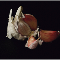 Buy canvas prints of Red Garlic bulb and cloves by Wendy Williams CPAGB