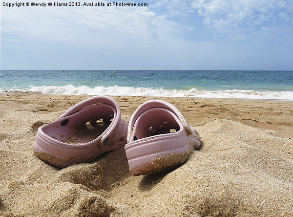 Crocs on the beach Picture Board by Wendy Williams CPAGB