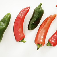 Buy canvas prints of Red Hot Chilli Peppers by Wendy Williams CPAGB
