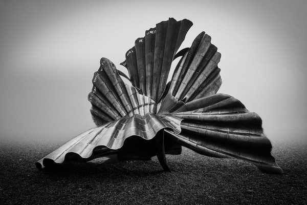 Scallop in the Mist, Aldeburgh Picture Board by Wendy Williams CPAGB