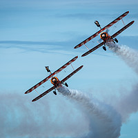 Buy canvas prints of Wing Walkers by Wendy Williams CPAGB