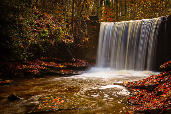 Autumn Waterfall Picture Board by Wendy Williams CPAGB