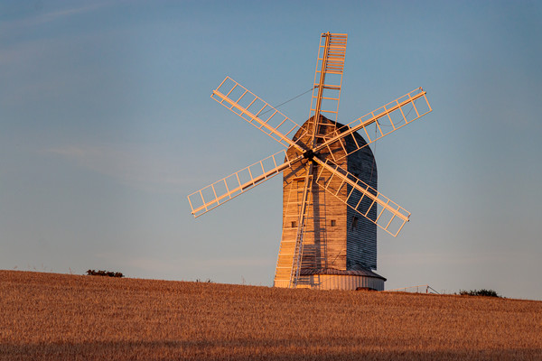 Windmill in Evening Light Picture Board by Wendy Williams CPAGB