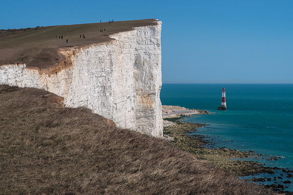 Beachy Head Lighthouse Picture Board by Wendy Williams CPAGB