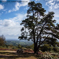 Buy canvas prints of Leith Hill View by Wendy Williams CPAGB