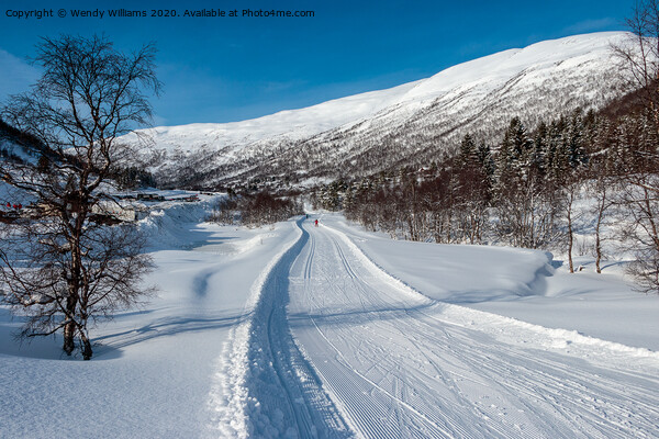 Cross-Country Skiing, Norway  Picture Board by Wendy Williams CPAGB