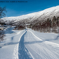 Buy canvas prints of Cross-Country Skiing, Norway  by Wendy Williams CPAGB