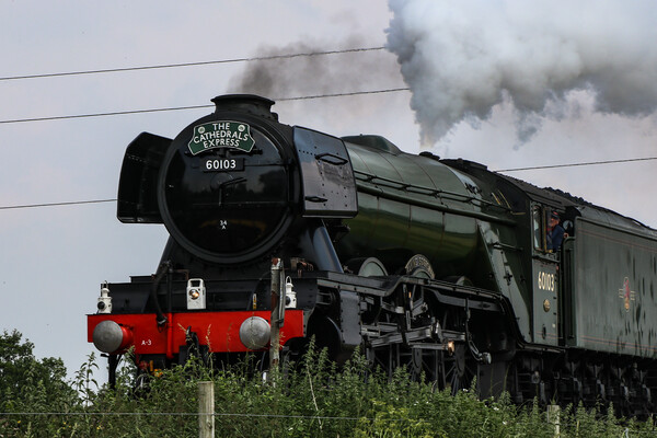 The Iconic Power of the Flying Scotsman Picture Board by Wendy Williams CPAGB