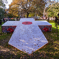 Buy canvas prints of Nantwich Churchyard Remembrance Day Cross by Wendy Williams CPAGB