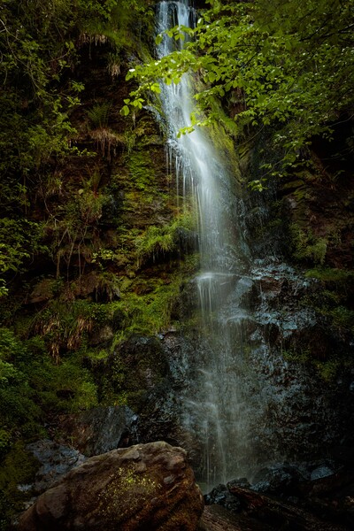 Mallyan Spout Waterfall Picture Board by Wendy Williams CPAGB