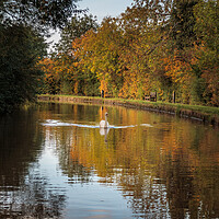 Buy canvas prints of Autumn Colours on the Shropshire Union canal by Wendy Williams CPAGB