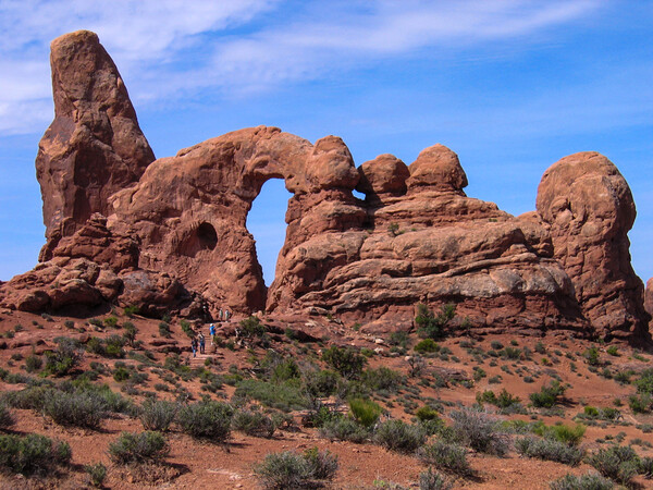 Arches National Park Picture Board by Wendy Williams CPAGB
