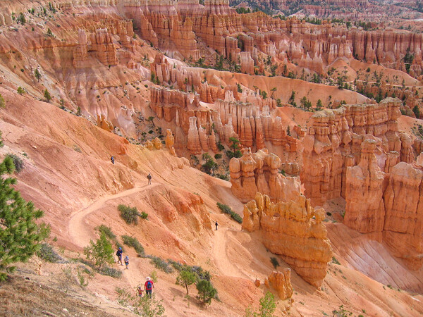 Sunset Point, Bryce Canyon Picture Board by Wendy Williams CPAGB
