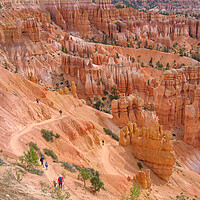 Buy canvas prints of Sunset Point, Bryce Canyon by Wendy Williams CPAGB