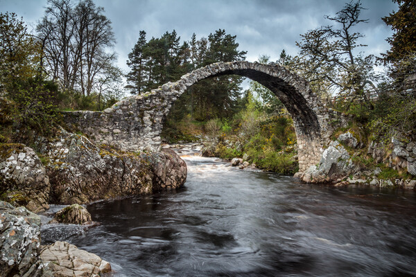 Packhouse bridge, Carrbridge Picture Board by Wendy Williams CPAGB