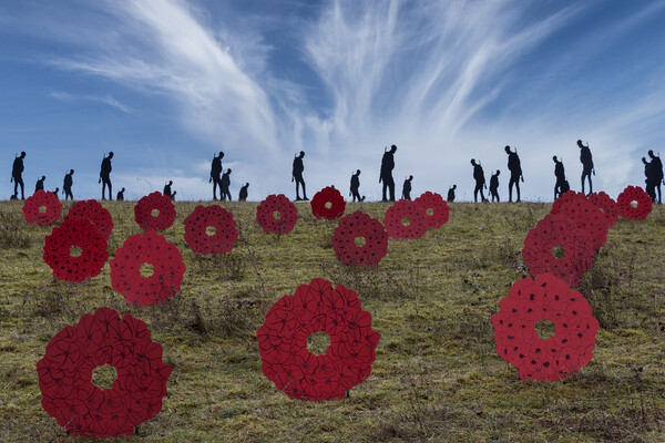 Soldiers and Poppies Picture Board by Wendy Williams CPAGB
