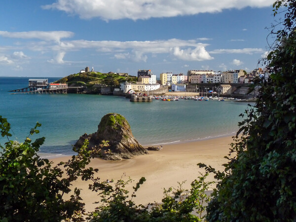 Tenby North beach Picture Board by Wendy Williams CPAGB